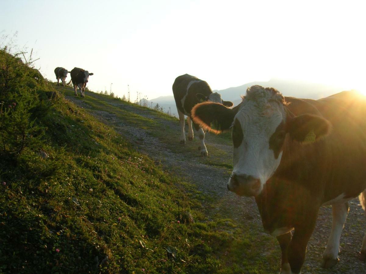 Ferienhof Kreilgut Rossleithen Zewnętrze zdjęcie